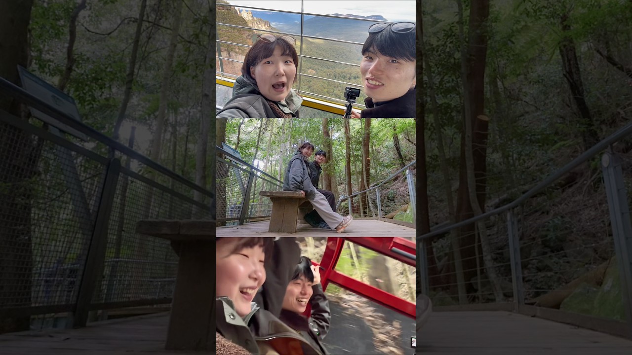 【シドニー3日目】ブルーマウンテンズの絶景に感動!野生のキバタンにも遭遇🇦🇺#新婚旅行 #新婚夫婦 #世界一周 #シドニー #sydney #オーストラリア #youtube #shorts