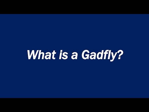 Video: Apakah artinya gadfly?