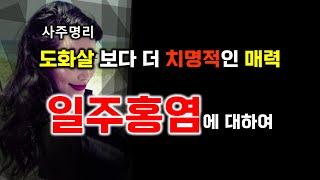 사주명리-도화살보다 더 치명적인 매력 - 일주홍염