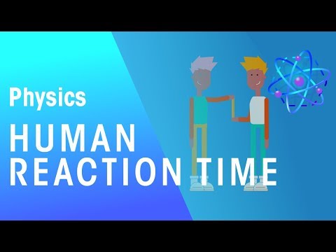 Video: Hoe verhoudt reactietijd zich tot rij- en snelheidslimieten?