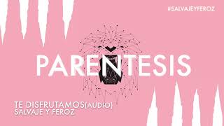 Vignette de la vidéo "Parentesis - Te disfrutamos (audio)"