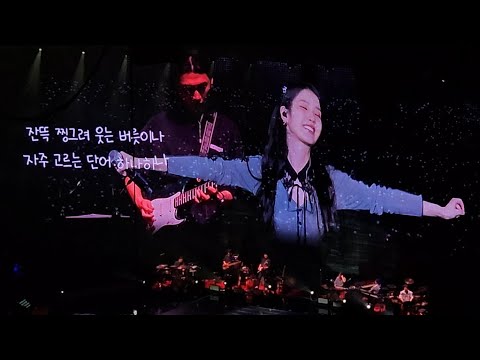IU (아이유) singing I stan U (관객이 될게) LIVE @ Philippine Arena | 4K FanCam