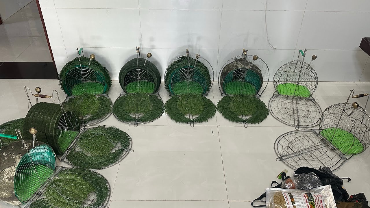 Những mẫu bẫy quốc và chằng nghịch bán chạy nhất năm 2024 lụp làm rất tỉ mỉ và kì công