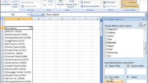 Microsoft Excel 2007 Pivot Table
