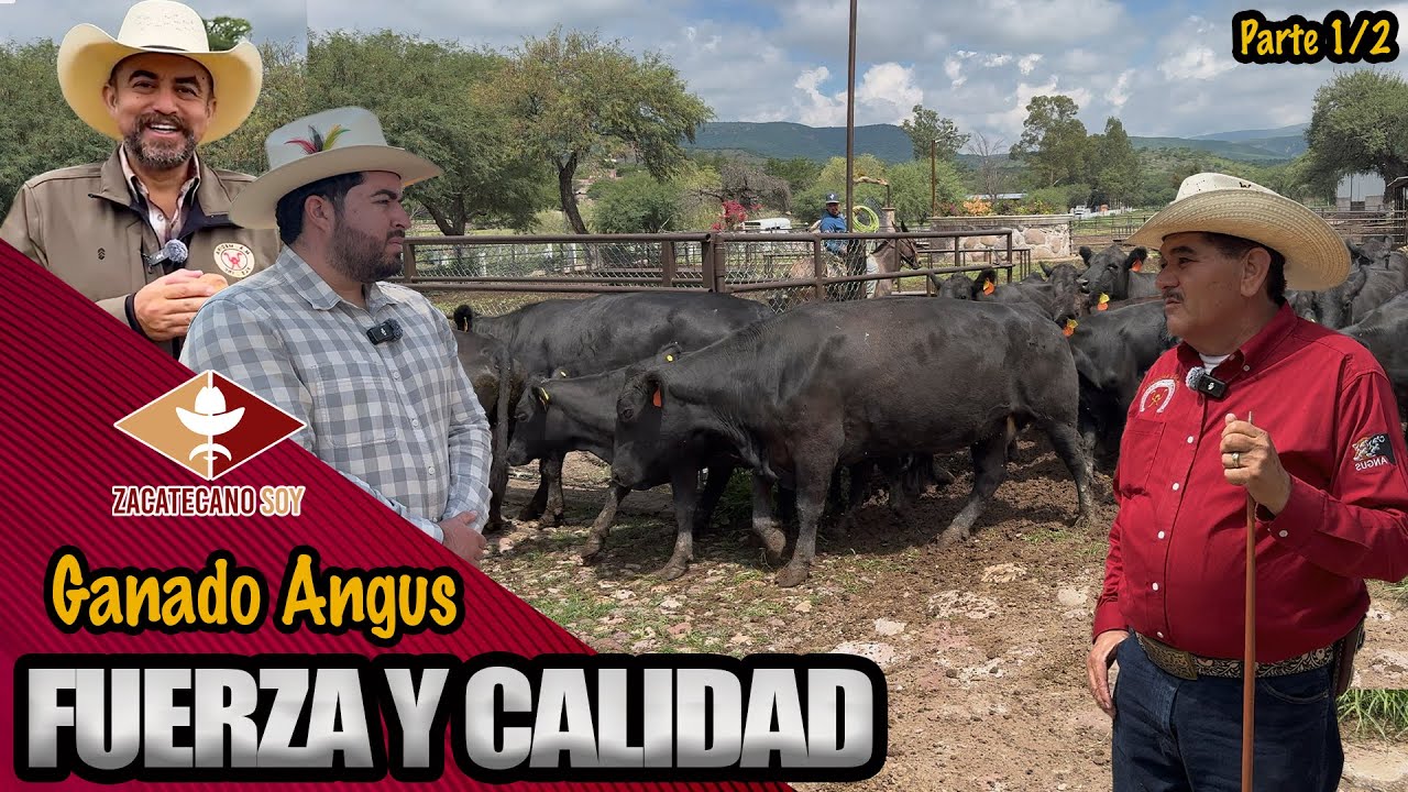 EL REGALO DEL ZACATECANO que no alcanzó a ver