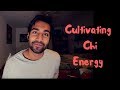 Cultivating Chi Energy - The Best Ideas from Mantak Chia