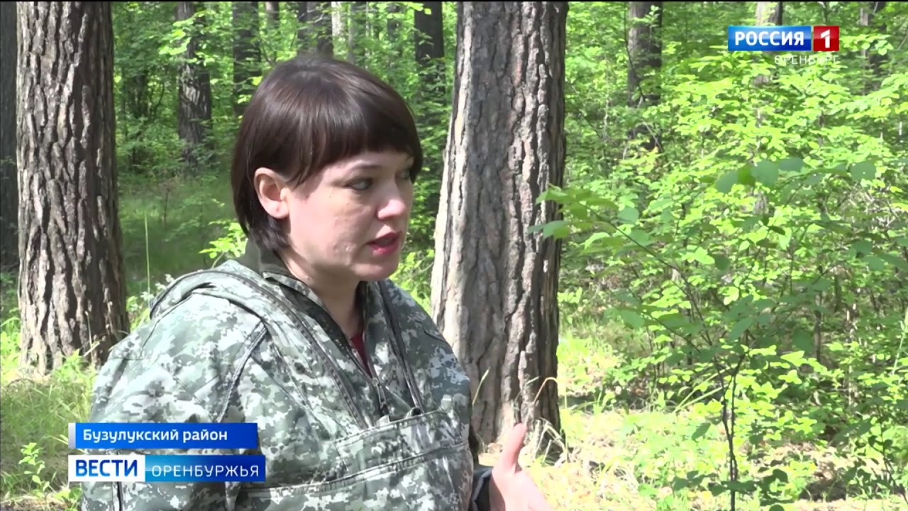 Росянка - YouTube