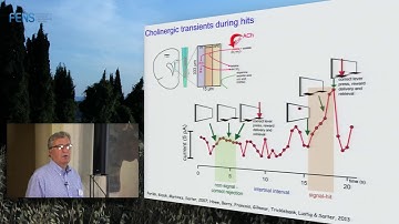 Martin Sarter on Deterministic and neuromodulatory functions of forebrain cholinergic systems