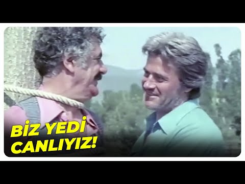 Biz Kader Arkadaşıyız! | Kader Arkadaşı - Cüneyt Arkın Eski Türk Filmi