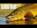 Fly fishing spring creek epic  huge brown trout in ginclear water