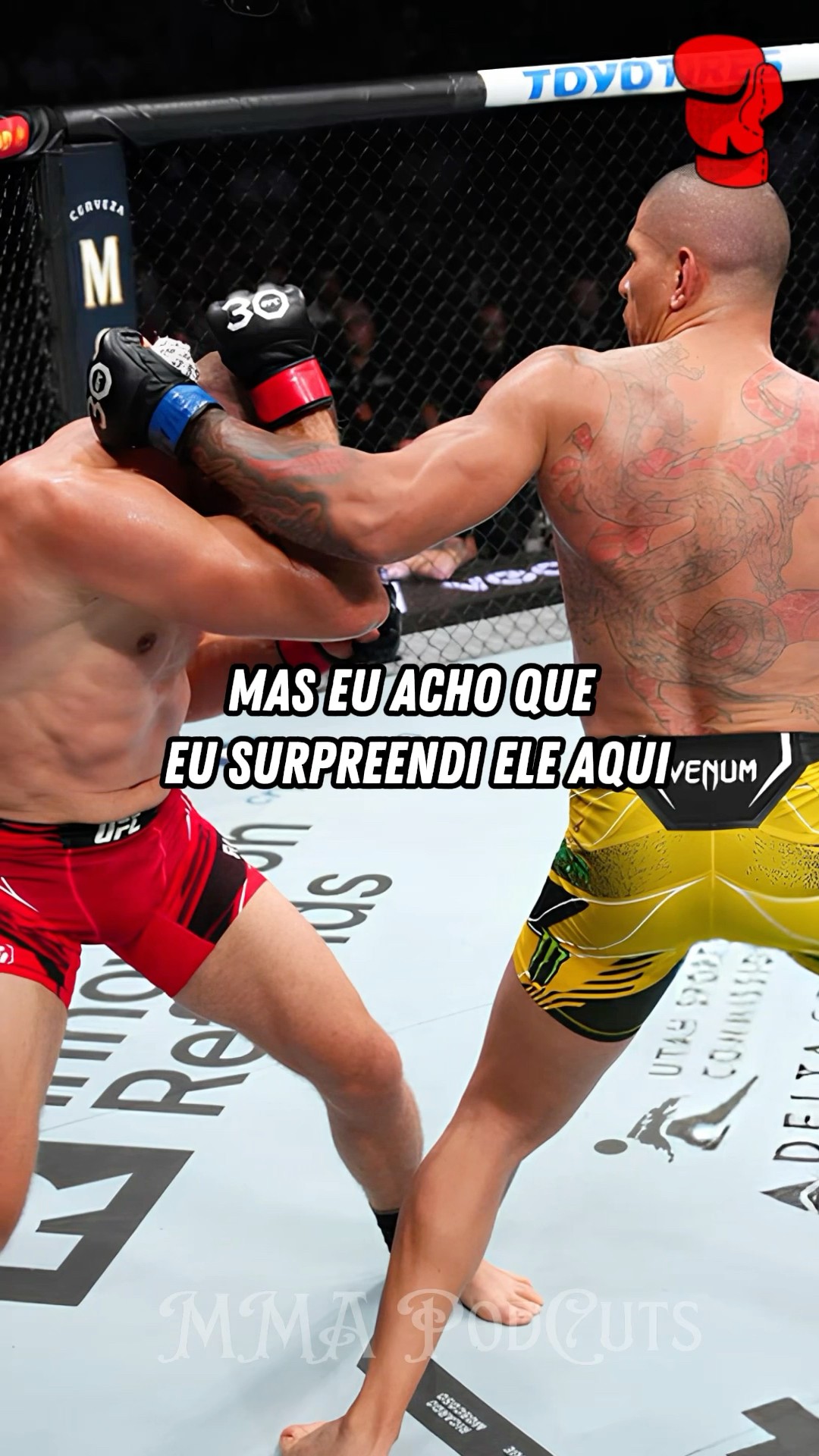 ALEX POATAN SOBRE LUTA COM BLACHOWICZ #mma #luta #boxe #ufc #foryou #shortsfeed #brasil