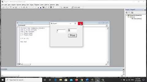 Visual Basic 6 0 Variable