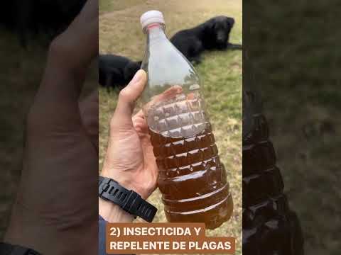 Vídeo: Beneficis del vinagre: com utilitzar el vinagre al jardí