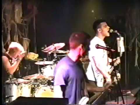Смотреть «Screeching Weasel» на YouTube Смотреть «Screeching Weasel» на YouTube