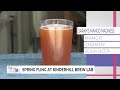 Weather team beers, dunk tank take center stage at Spring Fling