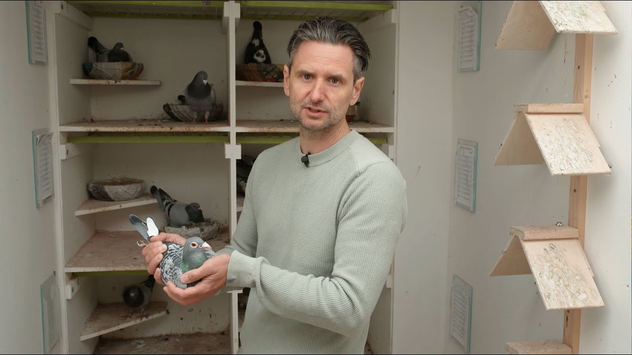 Will & Falco Ebben (Leeuwen, NL): 1st Nat. Ruffec 9,998 p & 1st Prov Chimay 8,815 p in 2022