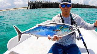 Giant BAITS for Inlet MONSTERS