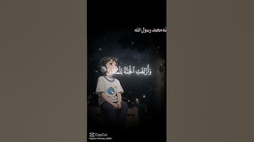 القرآن الكريم راحة نفسية ممكن شتراك #اكسبلور #لايك #سورة_البقرة #سورة