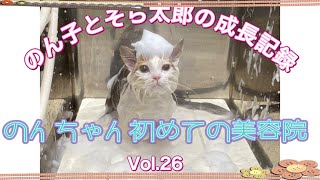 のんちゃん初めての美容院 by のん子とそら太郎の成長記録 484 views 2 months ago 6 minutes, 52 seconds