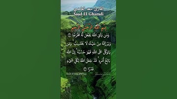 ومن يتق الله يجعل له مخرجا ويرزقك من حيث لا يحتسب. ماتيسر من سورة الطلاق بصوت القارئ سعد الغامدي.
