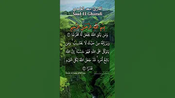 ومن يتق الله يجعل له مخرجا ويرزقك من حيث لا يحتسب ماتيسر من سورة الطلاق بصوت القارئ سعد الغامدي 