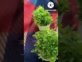 #shorts #youtubeshorts #shortvideo #youtube #ytshorts