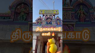 Thiruvalangadu kali Amman 🙏🏻 #trending #temple #vlog #love #amma #youtubeshorts