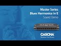 Губна гармошка Cascha Master Edition Blues Harmonica in E Diatonic HH 2234