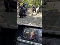 アクションシーン🎬