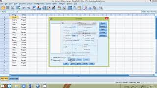 Somers'd Gamma Correlation Test in SPSS