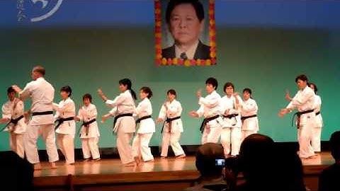 Seiryu Kata. Shohei-ryu (Uechi-ryu) Karate. 十 六型. 昭平流 「上地流」空手