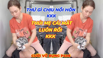 ✅Cười Vỡ Bụng ( P406)✔ || Những Thằng Ngu Nhất Hành Tinh Cười Vỡ Bụng ( P406)✔