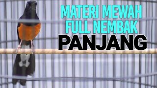 MASTERAN MURAI BATU NGEROL PANJANG FULL TEMBAKAN CILILIN KENARI LOVEBIRD