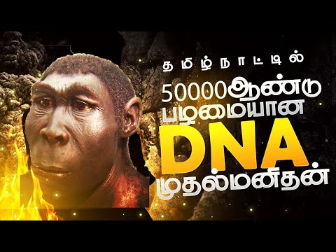 Video: Unde este descoperirea instrumentelor paleolitice la Tamil Nadu?