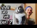 AVOIR UN CHAT HEUREUX CHEZ TOI ?! - TOOPET