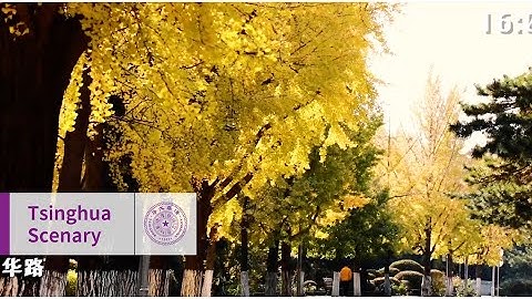 Enjoy a quiet, gentle autumn in Tsinghua