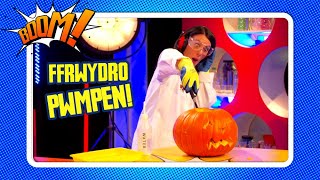 💥🎃Ffrwydriad Pwmpen!!🎃💥 | Exploding pumpkin science experiment!