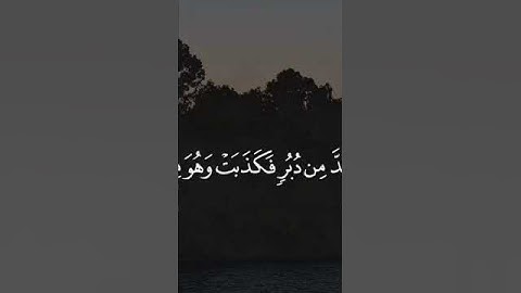 🌹آيات من سوره يوسف 🌹للقارئ الشيخ مشاري العفاسي #قناه نور القرآن الكريم