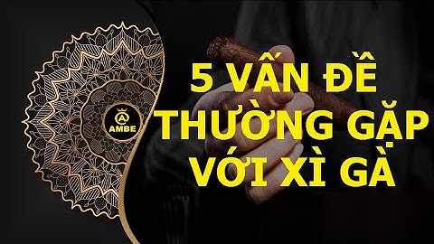 5 vấn đề thường gặp khi bắt đầu với cigar | Những điều thú vị về xì gà #6 | Ambe.vn