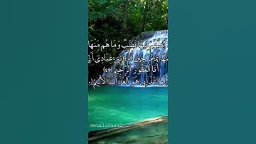 إنَّ الْمُتَّقِينَ فِي جَنَّاتِ وَعُيُونٍ 🌴⚘️الراحة النفسية حالات واتس اب قرآن كريم 🍃Quran