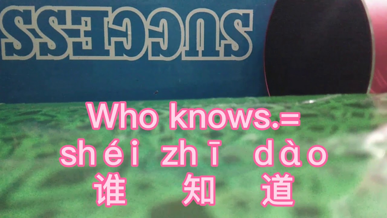 29 Who Knows How To Say It In Chinese YouTube