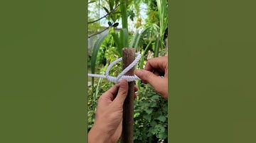 How to tie the top of a column #knotskill #shortvideo #diy #tips