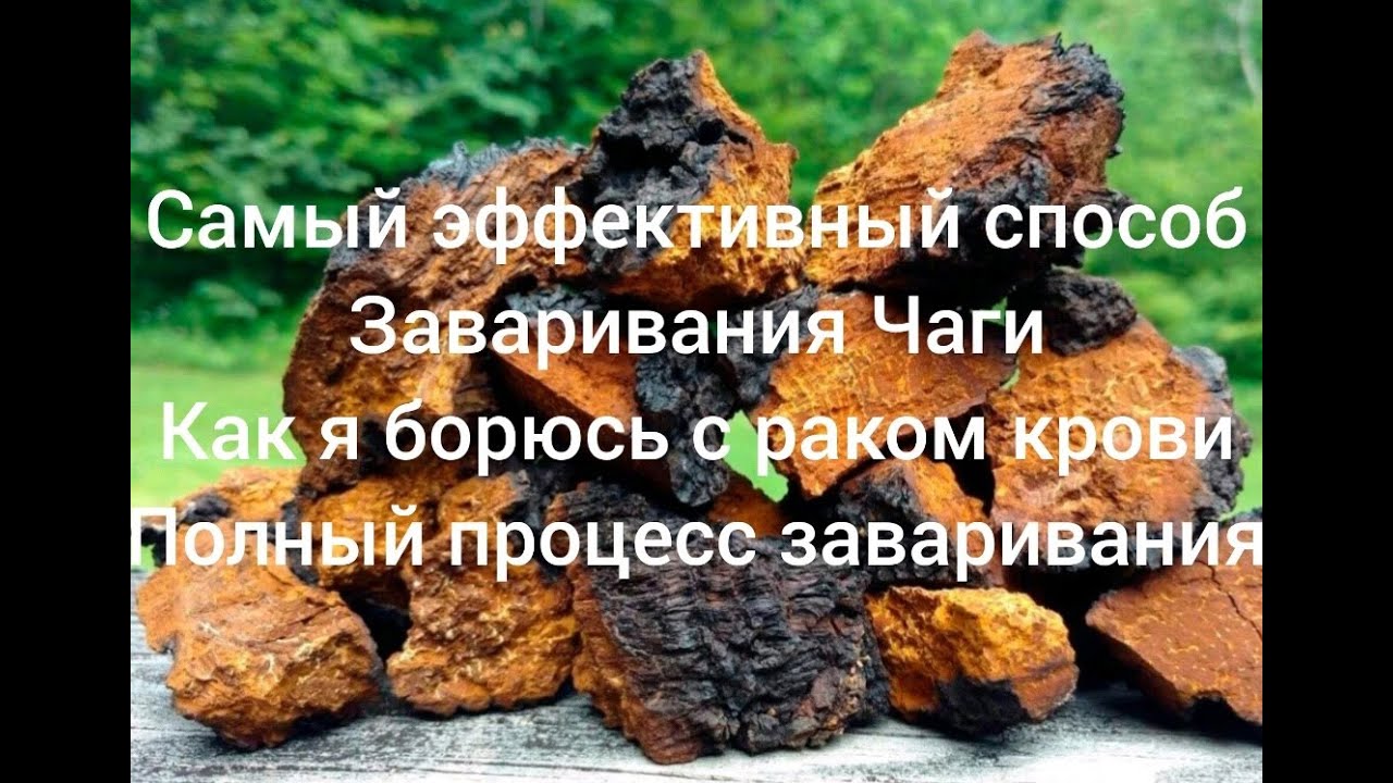 Спицы Чагу Купить В Интернет