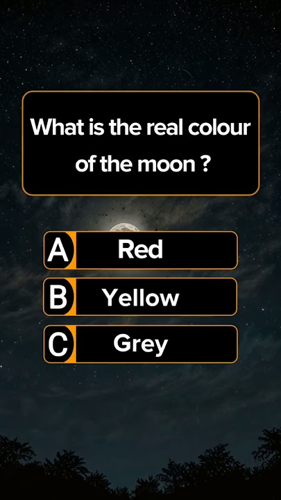 General Knowledge Quiz #shortsfeed #ytshorts #shortsbeta #quiz #youtubeshorts #generalknowledge