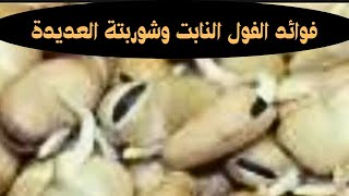 فوائد الفول النابت لمريض القلب والسكر والضغط العالى والدايت ومشاكله