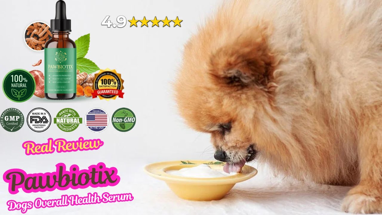 Pawbiotix Reviews – The Natural Formula That Supports Your Dog’s Overall Health
