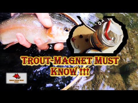 Trout Magnet !!! [ MUST KNOW - Technique & WARNING ] !!! 