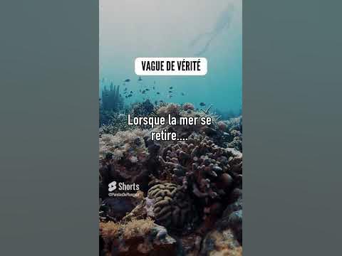 Tsunami la mer se retire
