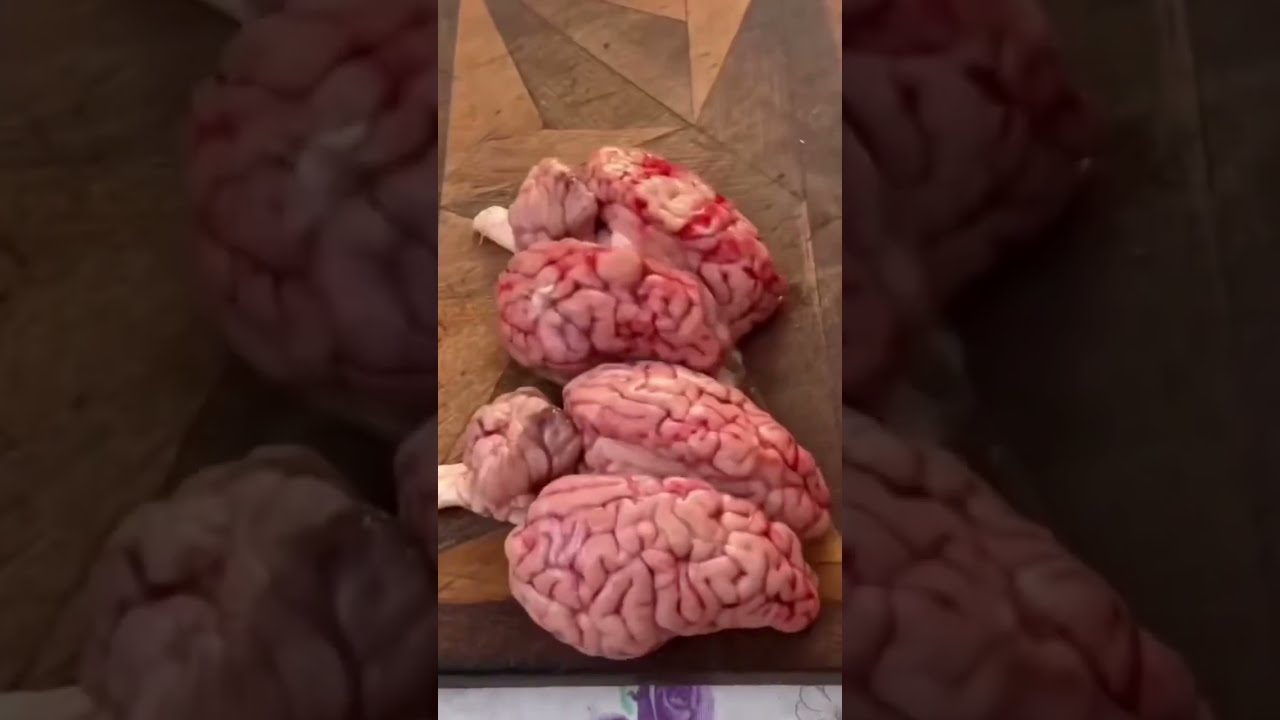 Brain Fell Out Brainout Family Familyfun
