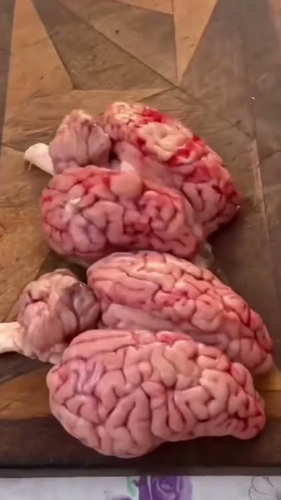 Brain fell out. 🧠 #brainout #family #familyfun